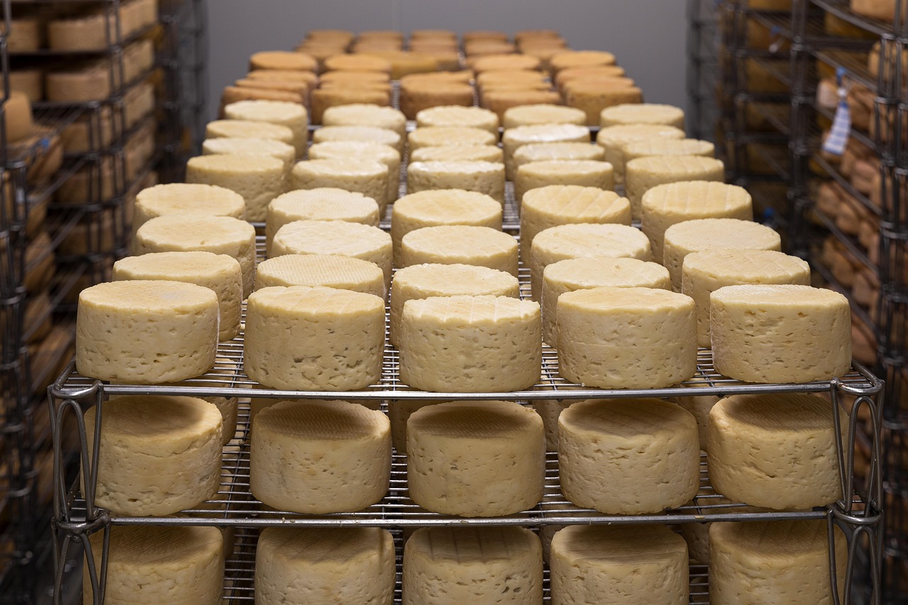 The Matese cheese counters